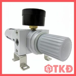 bộ lọc điều áp stnc kiểu festo lfr 5