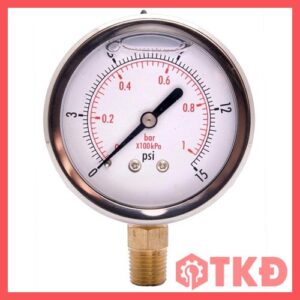 đồng hồ áp suất có dầu chân đứng