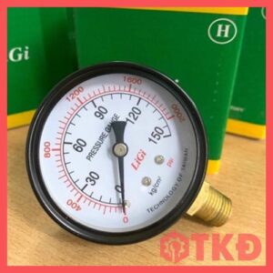 đồng hồ đo áp suất không dầu chân đứng ligi