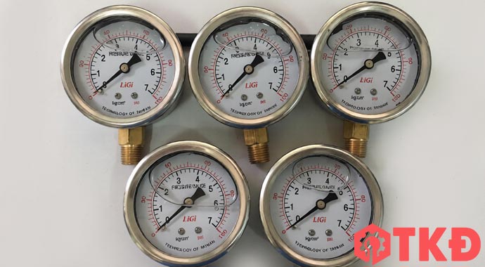 đồng hồ đo áp suất có dầu chân đứng ligi 2 đồng hồ đo áp suất có dầu chân đứng ligi 2