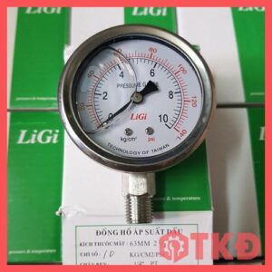 đồng hồ đo áp suất có dầu chân đứng ligi