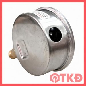 đồng hồ đo áp suất có dầu chân đứng pvn 4