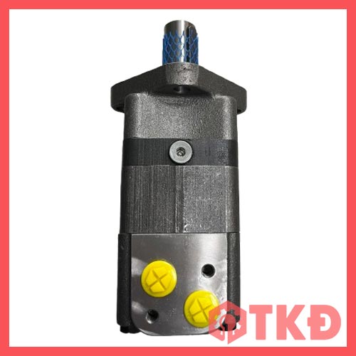 motor bm3