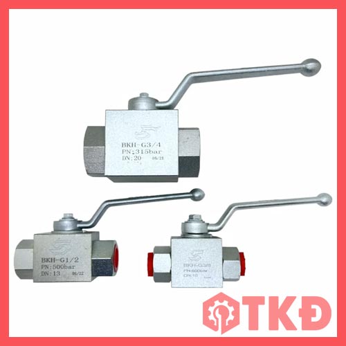 van thủy lực 2 ngã bkh 6
