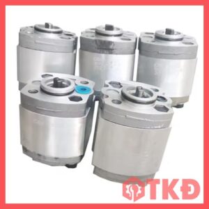 bơm nhông thủy lực cbk-f 10